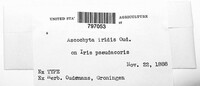 Image Associated With the Occurence